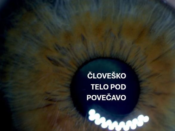 Razstava fotografij: Človeško telo pod povečavo